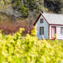 buying land for a tiny house