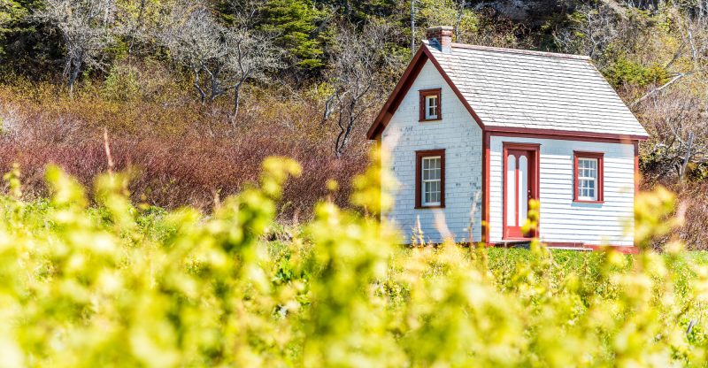Everything You Need To Know About Buying Land For A Tiny House