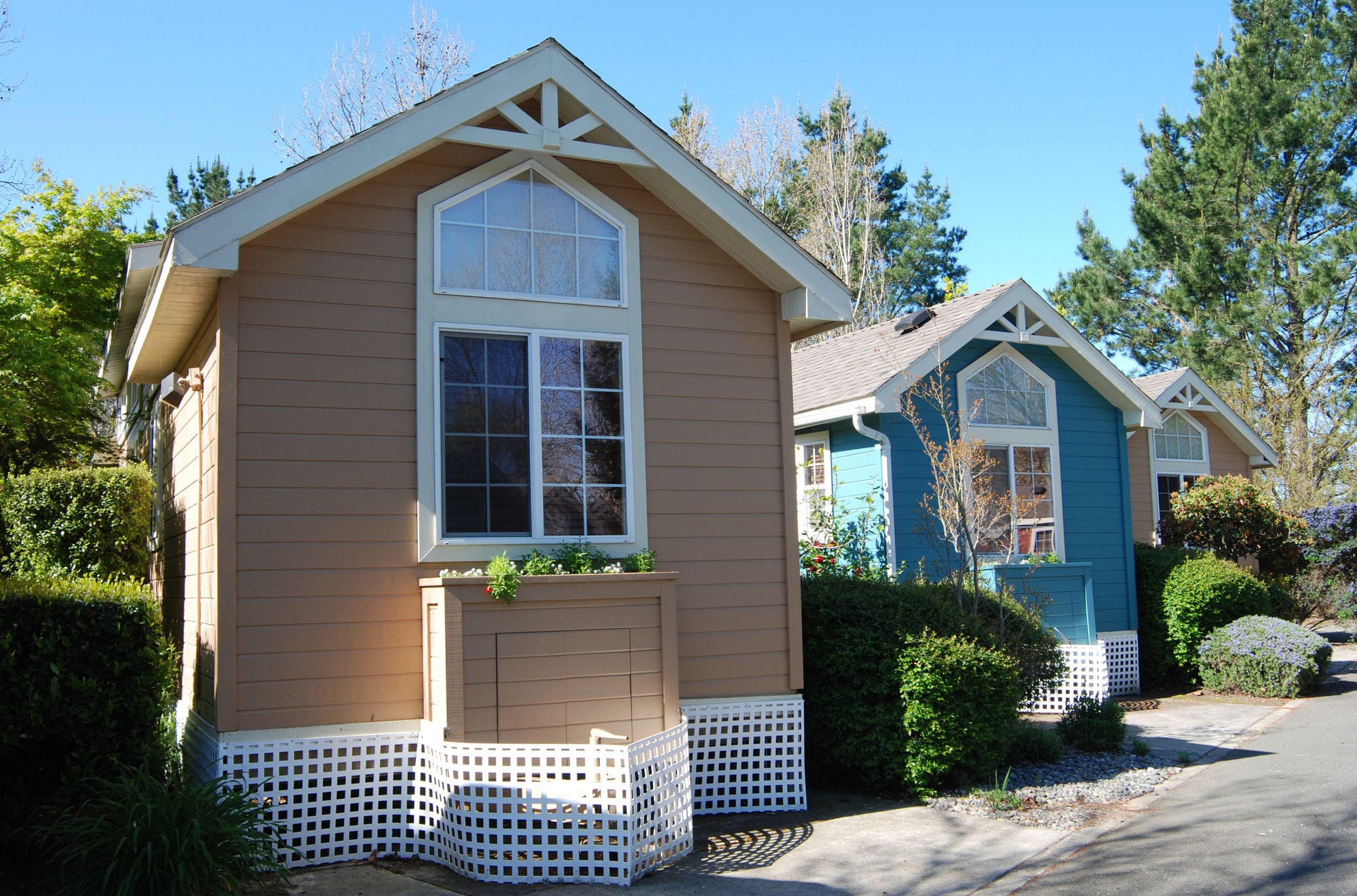 a-beginner-s-guide-to-different-types-of-tiny-houses