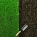 How to Make Sure Your Garden Plants Grow Healthy