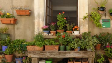 How to Keep Your Tiny Home Smelling Clean