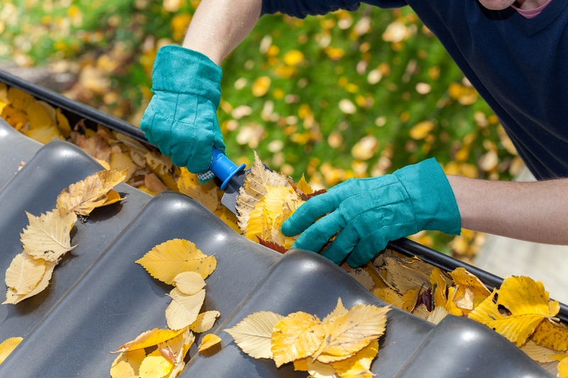 basic-maintenance-you-can-t-neglect-in-your-tiny-home-coze-living